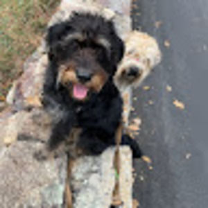 Meet your Posher, Miranda